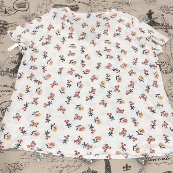 CASLON Rounded V-Neck Tee(PLUS SIZE) - Picture 5 of 7